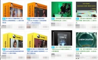 视频素材大全 