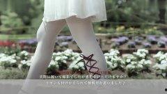 旋风视频在线观看 