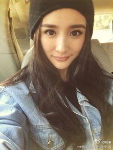 贝利自动点击器 